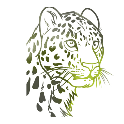 Auf Leopardenjagd mit Interhunt