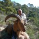 Barbary Schaf Jagd in Spanien - Interhunt - jagen weltweit