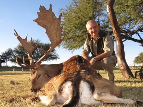 Jagd auf Damhirsch in Argentinien - Interhunt - jagen weltweit