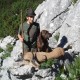 Jagd auf Gams in Österreich - Interhunt - jagen weltweit