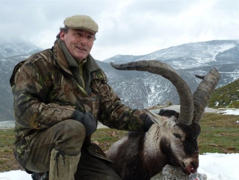 Erfolgreiche Jagd auf Gredos in Spanien - Interhunt - jagen weltweit