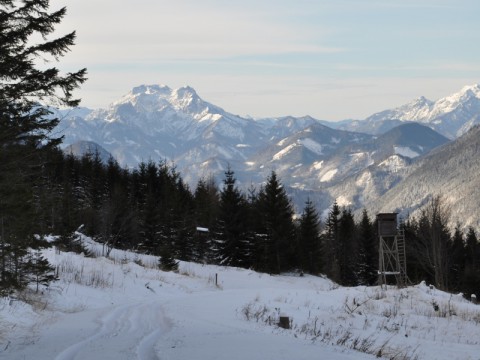 Jagdrevier im Winter in Österreich - Interhunt - jagen weltweit