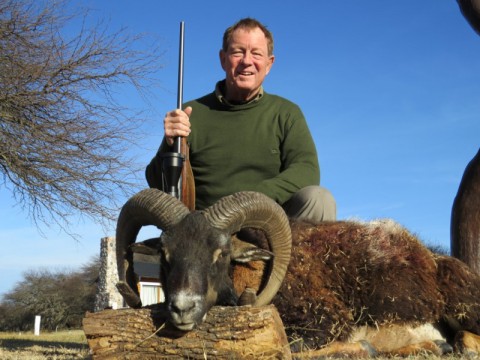 Jagd auf Muffelwidder in Argentinien - Interhunt - jagen weltweit