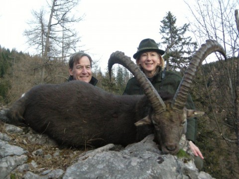 Jagd auf Steinbock in Österreich - Interhunt - jagen weltweit