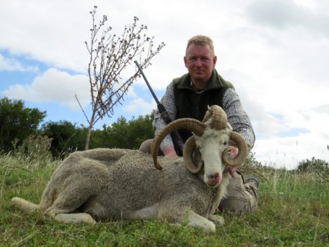 Jagd auf Vierhornschaf in Argentinien - Interhunt - jagen weltweit