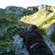 Auf Pirsch in Österreich - Interhunt - jagen weltweit