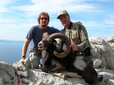 Muffelwidder Jagd an der Küste von Kroatien - Interhunt - jagen weltweit