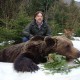 Erfolgreiche Braunbär jagd in Kroatien - Interhunt - jagen weltweit