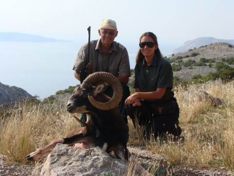 Starker Muffelwidder in Kroatien - Interhunt - jagen weltweit