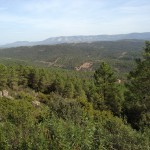 Monteria Jagdgebiet bei Cuenca - Interhunt - jagen weltweit